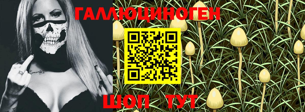 Ухта  Галлюциногенные грибы GOLDEN TEACHER  Галлюциногенные грибы мухоморы  Вход с VPN 