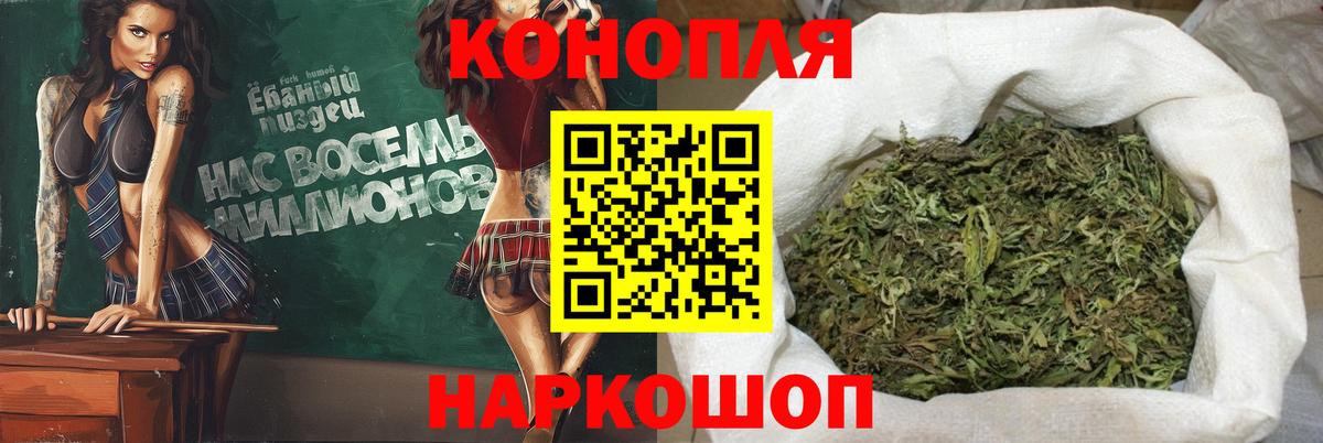 Бошки Шишки семена Ухта